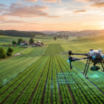 Emirates Palace Spends that a Hefty Sum For…